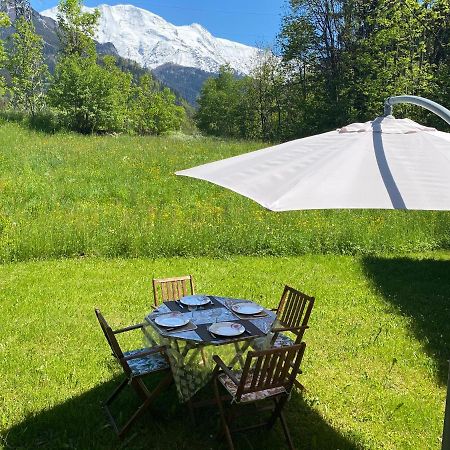 Appartement Lumineux Et Cosy En Rez De Jardin Saint-Gervais-les-Bains Esterno foto