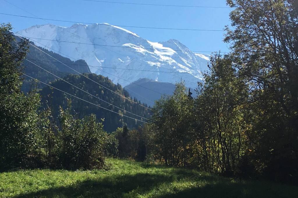 Appartement Lumineux Et Cosy En Rez De Jardin Saint-Gervais-les-Bains Esterno foto